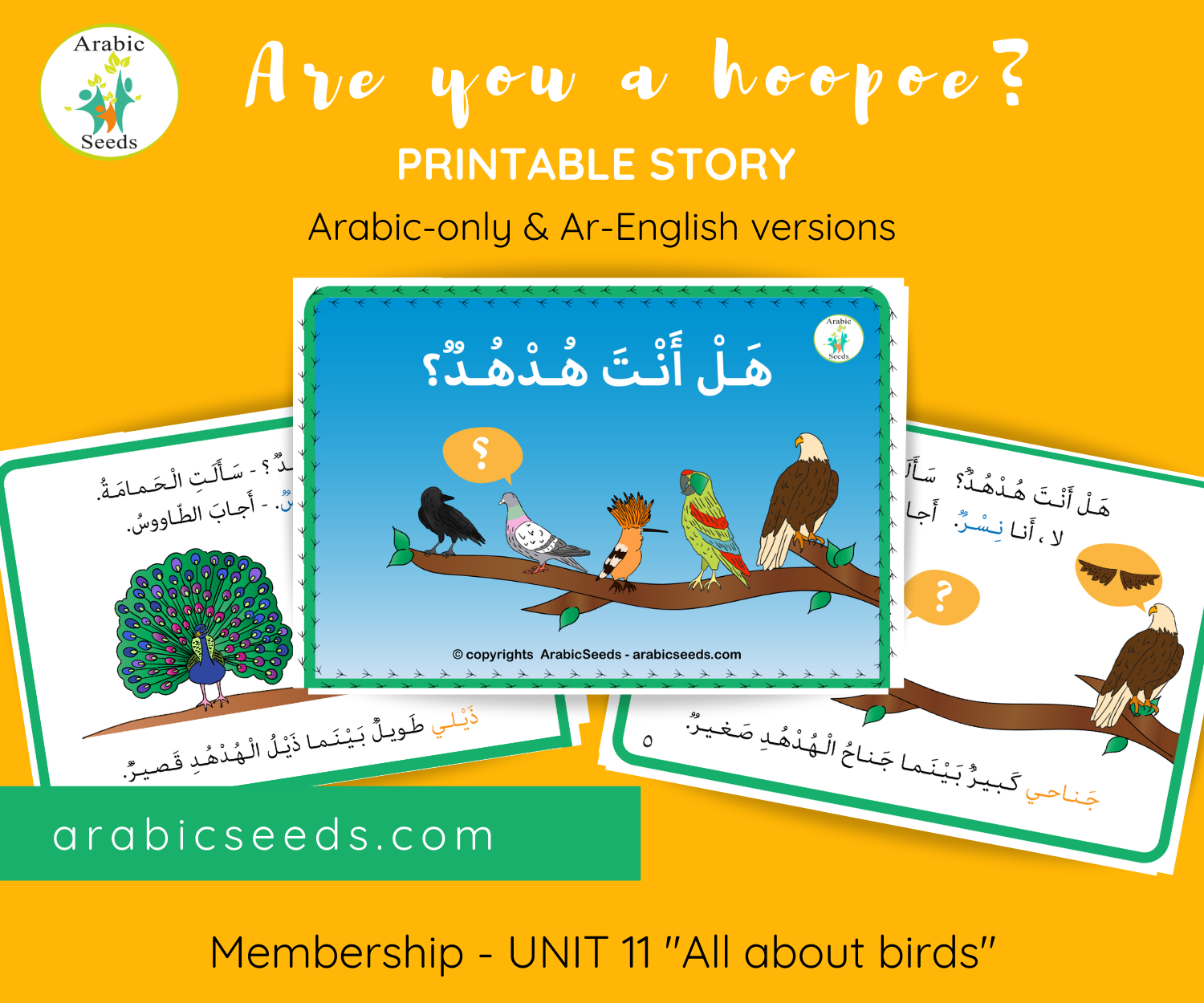 Are you a hoopoe hudhud Arabic printable story for kids – Arabic Seeds ...