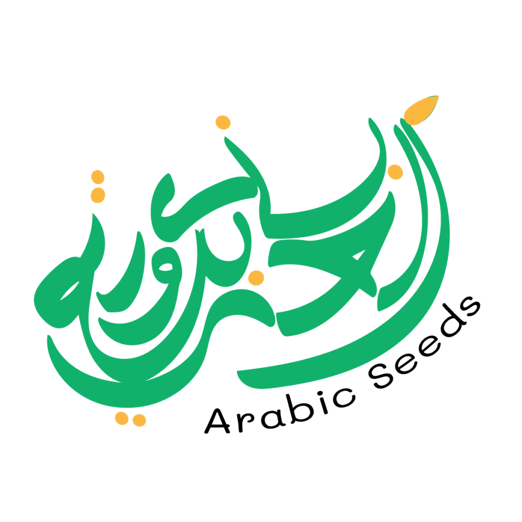 free-arabic-video-ramadan-flashcards-and-sentences-arabic-seeds